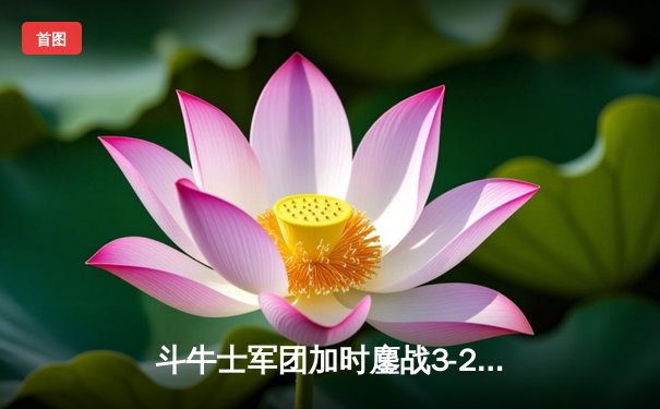 斗牛士军团加时鏖战3-2淘汰克罗地亚，欧洲杯上演史诗级对决